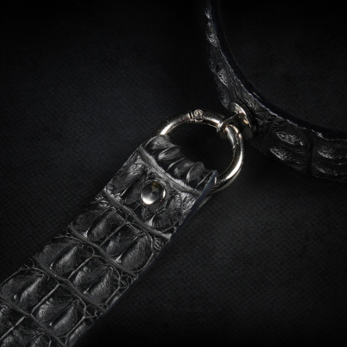 TORROSS™ Obsidian Croco Tie