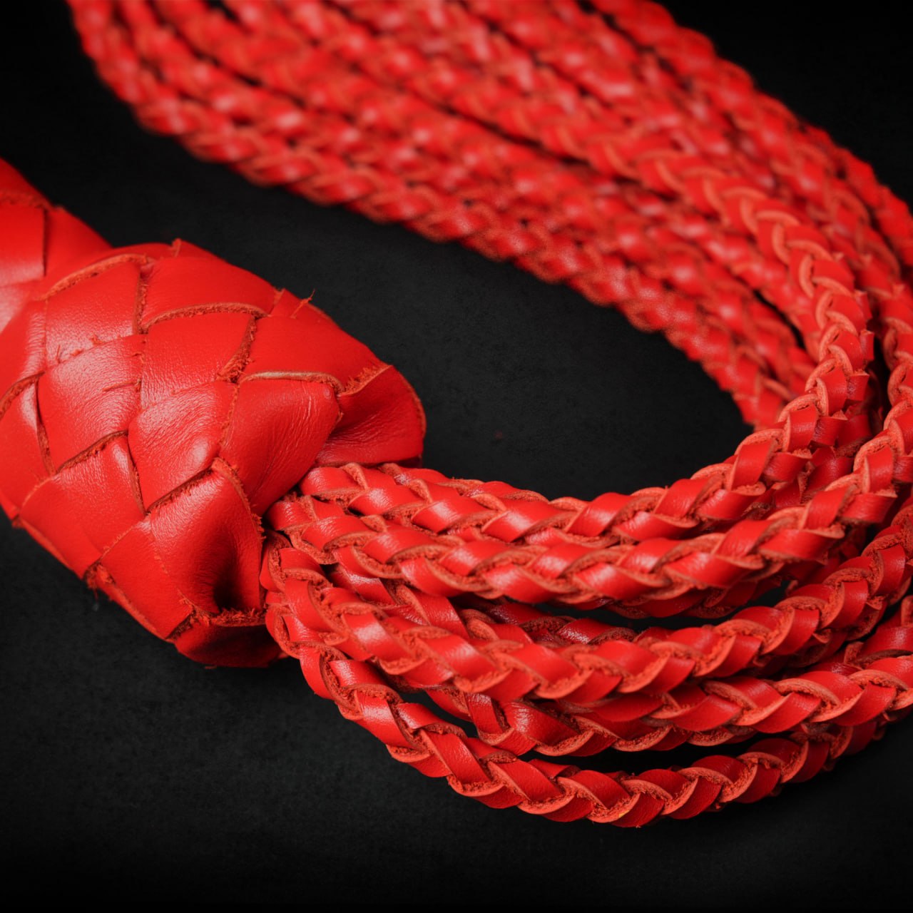 TORROSS™ Obsidian Eclipse Flogger