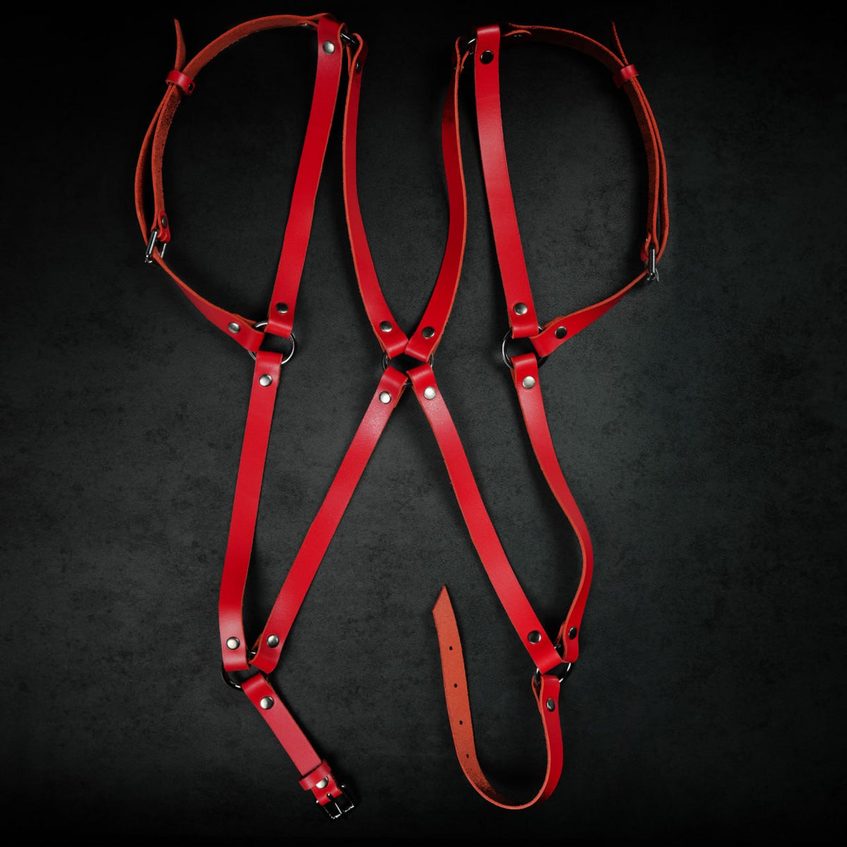 TORROSS™ Obsidian Waist & Leg Harness